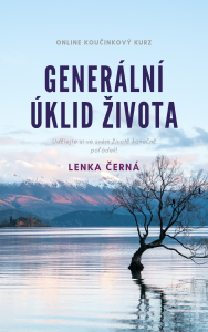 generální-úklid-života-5-188x300